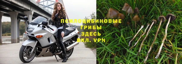 тгк Ростов